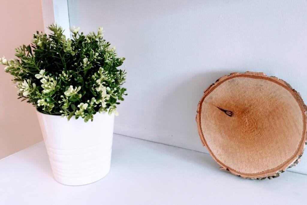 Apartamento 6 De Mayo Ρόντα Εξωτερικό φωτογραφία