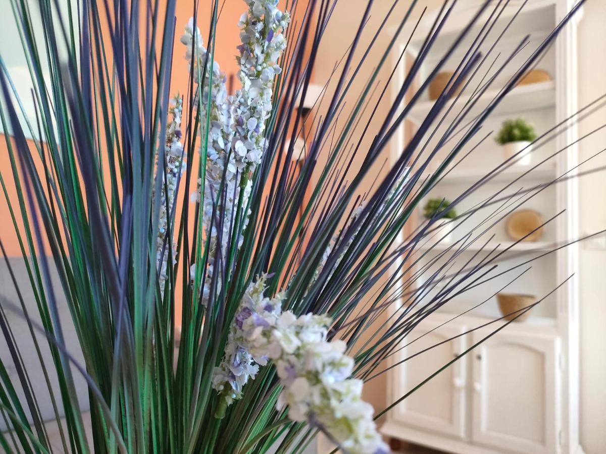 Apartamento 6 De Mayo Ρόντα Εξωτερικό φωτογραφία